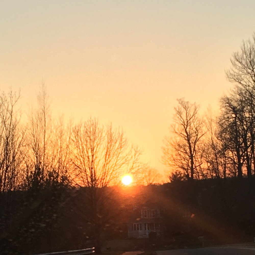 Meet your Posher, Liana